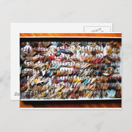 魚釣り ポストカード (正面/裏面)