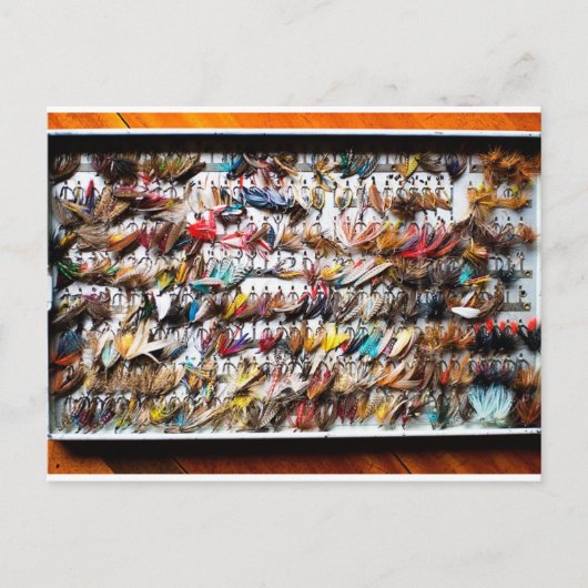 魚釣り ポストカード (正面)