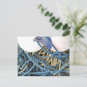 魚釣り ポストカード (スタンド正面)