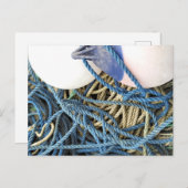 魚釣り ポストカード (正面/裏面)