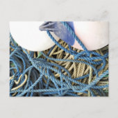 魚釣り ポストカード (正面)