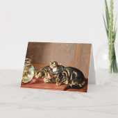 魚鉢で魚を見ている猫 カード (正面)