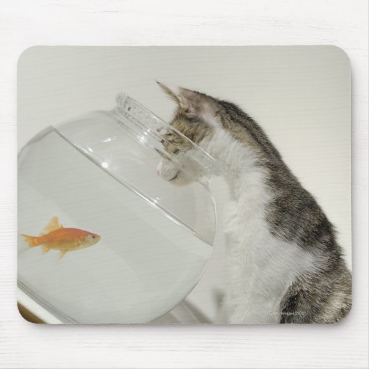 魚鉢に入った魚を見る猫 マウスパッド (正面)
