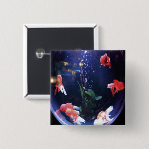 魚鉢の写真 缶バッジ