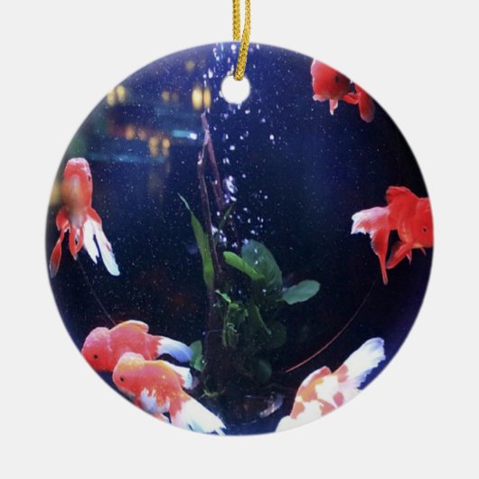 魚鉢写真 セラミックオーナメント (正面)