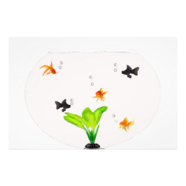 魚鉢 フォトプリント           