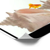 魚類保護プログラムポスター ポスター (角)