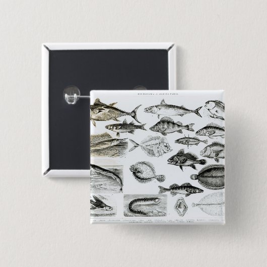 魚類学のOsseous魚 缶バッジ (正面&裏面)