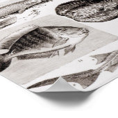 魚類学 – ガノイド・エラスモブランチ ポスター (角)