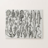 魚類魚類学、魚、海、魚類学者 ジグソーパズル (横)