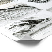 魚類魚類魚類学 ポスター (角)