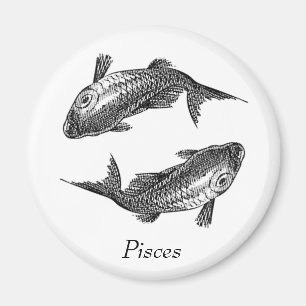 魚類 マグネット