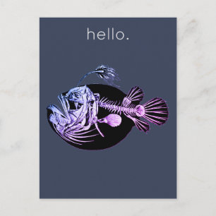 魚風変わり葉書 ポストカード