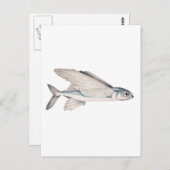 魚飛んでいる外線虫科 ポストカード (正面/裏面)