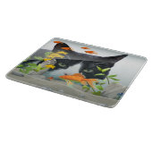 魚飼育用の水槽で凝視している猫 カッティングボード (角)