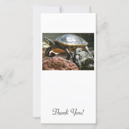魚飼育用の水槽のカメ サンキューカード