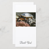 魚飼育用の水槽のカメ サンキューカード (正面/裏面)