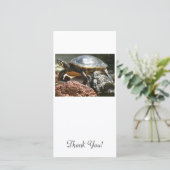 魚飼育用の水槽のカメ サンキューカード (スタンド正面)