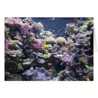 魚飼育用の水槽