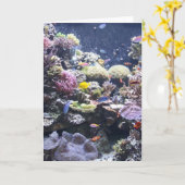 魚飼育用の水槽 カード (黄色い花)