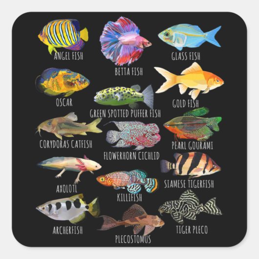 魚飼育魚種生物学型水槽 スクエアシール (正面)