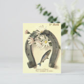 魚馬蹄型デイジー ポストカード (スタンド正面)