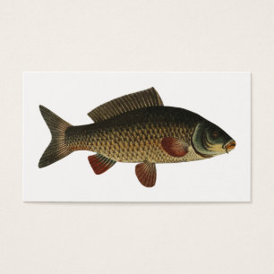 魚