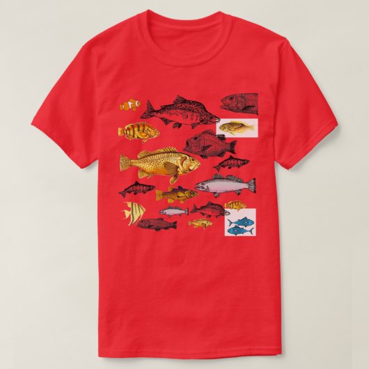 魚27 Tシャツ (デザイン正面)