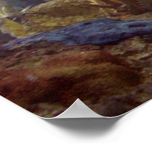 魚2 ポスター (角)