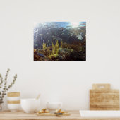 魚2 ポスター (キッチン)