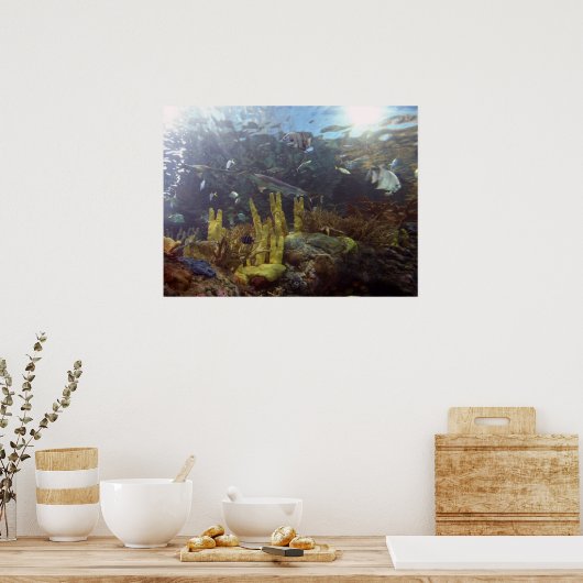 魚2 ポスター (キッチン)