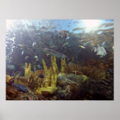 魚2 ポスター (正面)