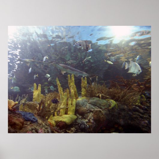 魚2 ポスター (正面)