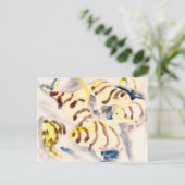 魚3 | Charles Demuth | ポストカード (スタンド正面)