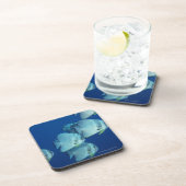 魚5の学校 コースター (右側)