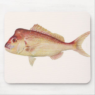 魚-がみがみ言う人- Chrysophrysのguttulatus マウスパッド