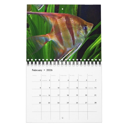 魚 カレンダー (2月 2026)