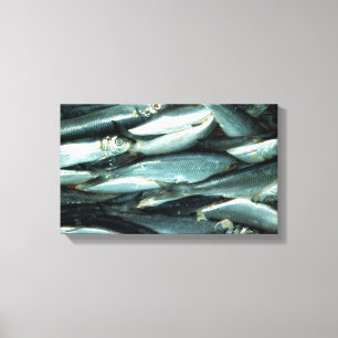 魚 キャンバスプリント