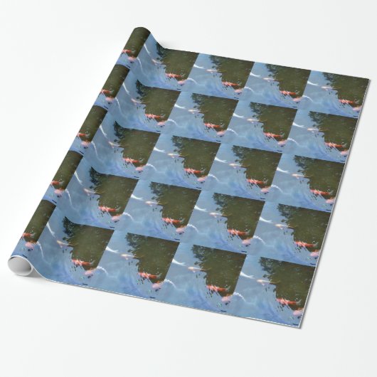 魚、コイカルプス入り池 ラッピングペーパー (アンロールド)