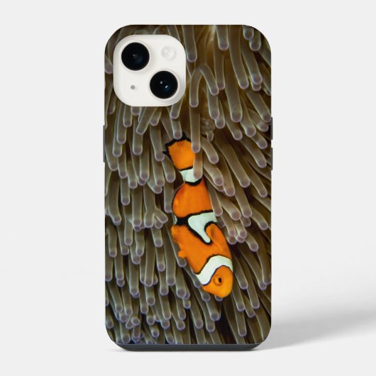 魚、サンゴ、水中 iPhoneケース (裏面)