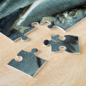 魚 ジグソーパズル (側面)