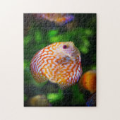 魚 ジグソーパズル (縦)