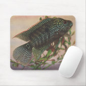 魚-ジャック・デンプシー- Archocentrusのoctofasciatus マウスパッド (マウス)