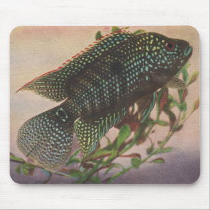 魚-ジャック・デンプシー- Archocentrusのoctofasciatus マウスパッド