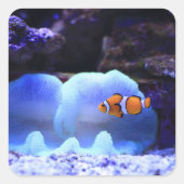 魚 スクエアシール (正面)