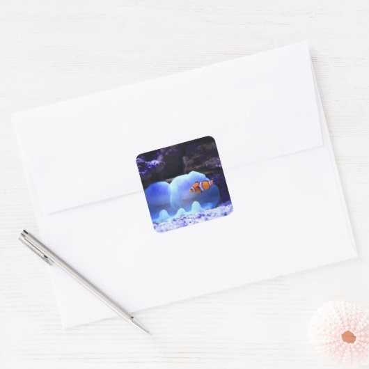 魚 スクエアシール (封筒)