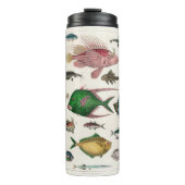 魚 タンブラー (正面)