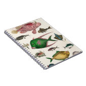 魚 ノートブック (右側)