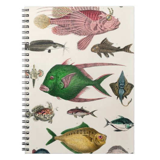 魚 ノートブック (正面)