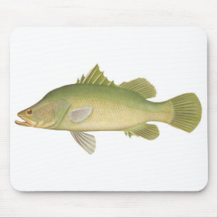 魚-バラムンジ-カルカリファー マウスパッド